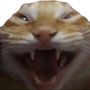 catscream