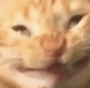 katsucc