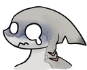 shark_trauma