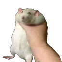 fatratbeinggrabbed