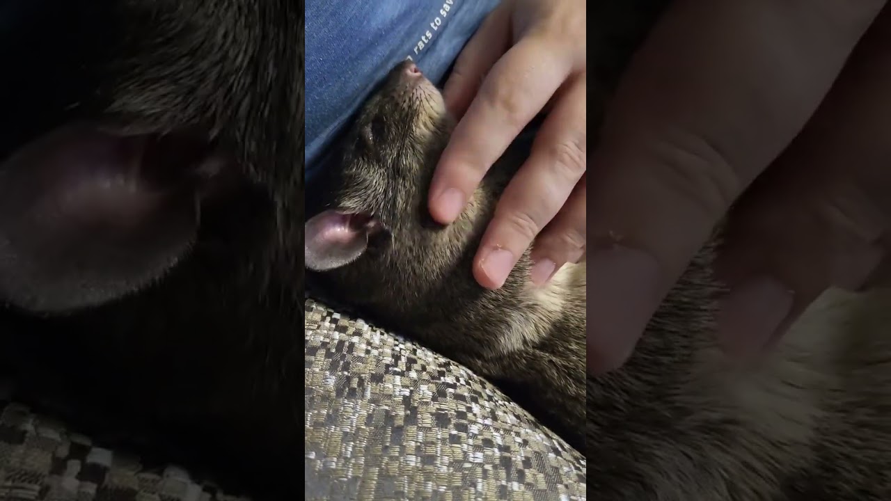 YouTube video thumbnail