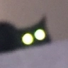 catstare