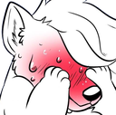 shy