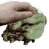 petbug