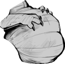 Belly