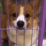 Iamlookingpolitely