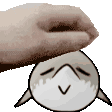 shork_pet
