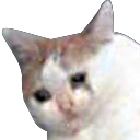 katdepresso