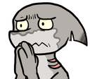 shark_concern