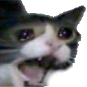 screm